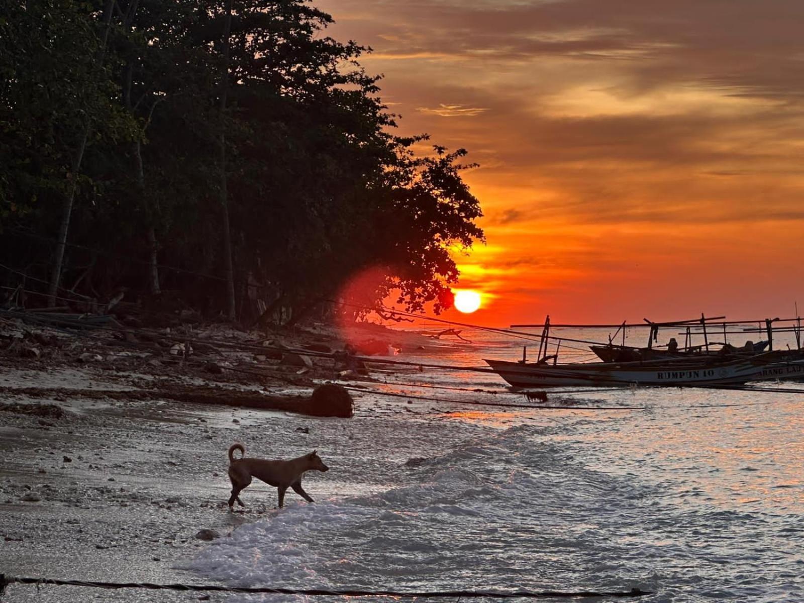 Kambuna Bungalow Krui المظهر الخارجي الصورة