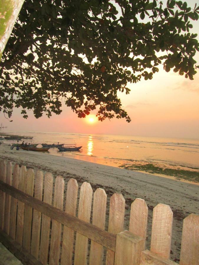 Kambuna Bungalow Krui المظهر الخارجي الصورة
